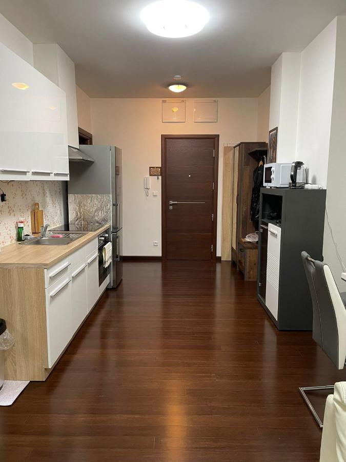 Spa Apartment Moser Карлові Вари Екстер'єр фото